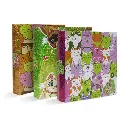 Carpeta 3 anillos 40 mm Rexon Cat World 2