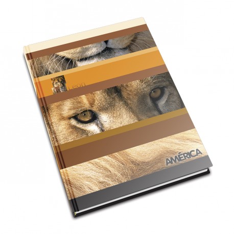 [AMERTC82CUAD] Cuaderno América tapa cartón, 16x21cm. 82 hojas cuadriculadas