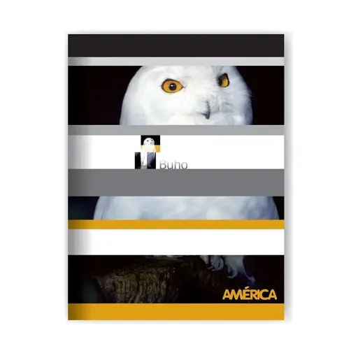 [AMERTF24RAYA] Cuaderno América tapa flexible, 16x21cm. 24 hojas rayadas